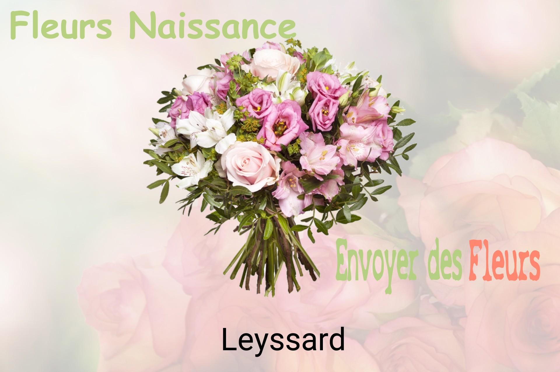 Bouquet de fleurs de naissance livré à Leyssard